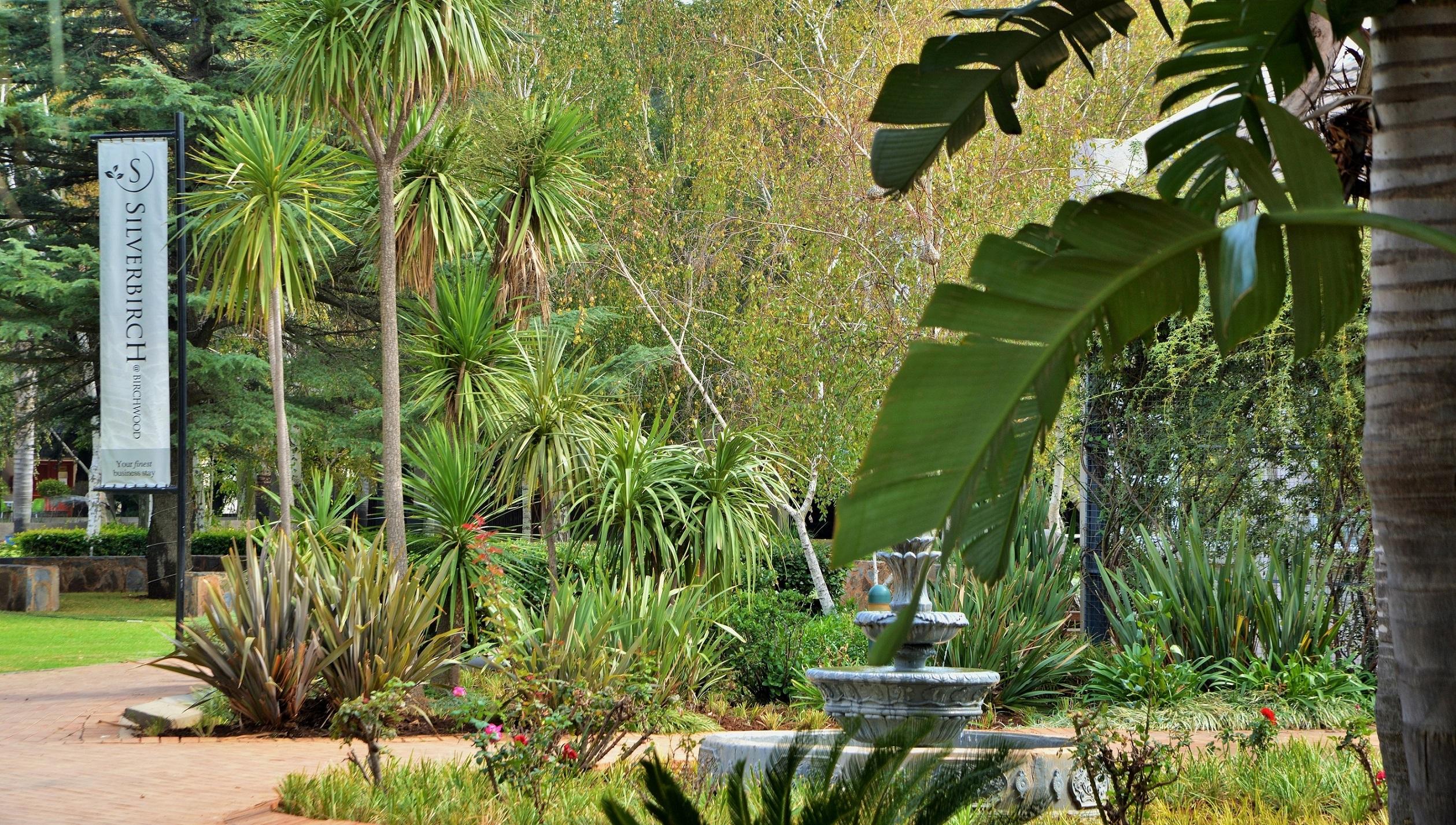 Silverbirch At Birchwood Boksburg Kültér fotó