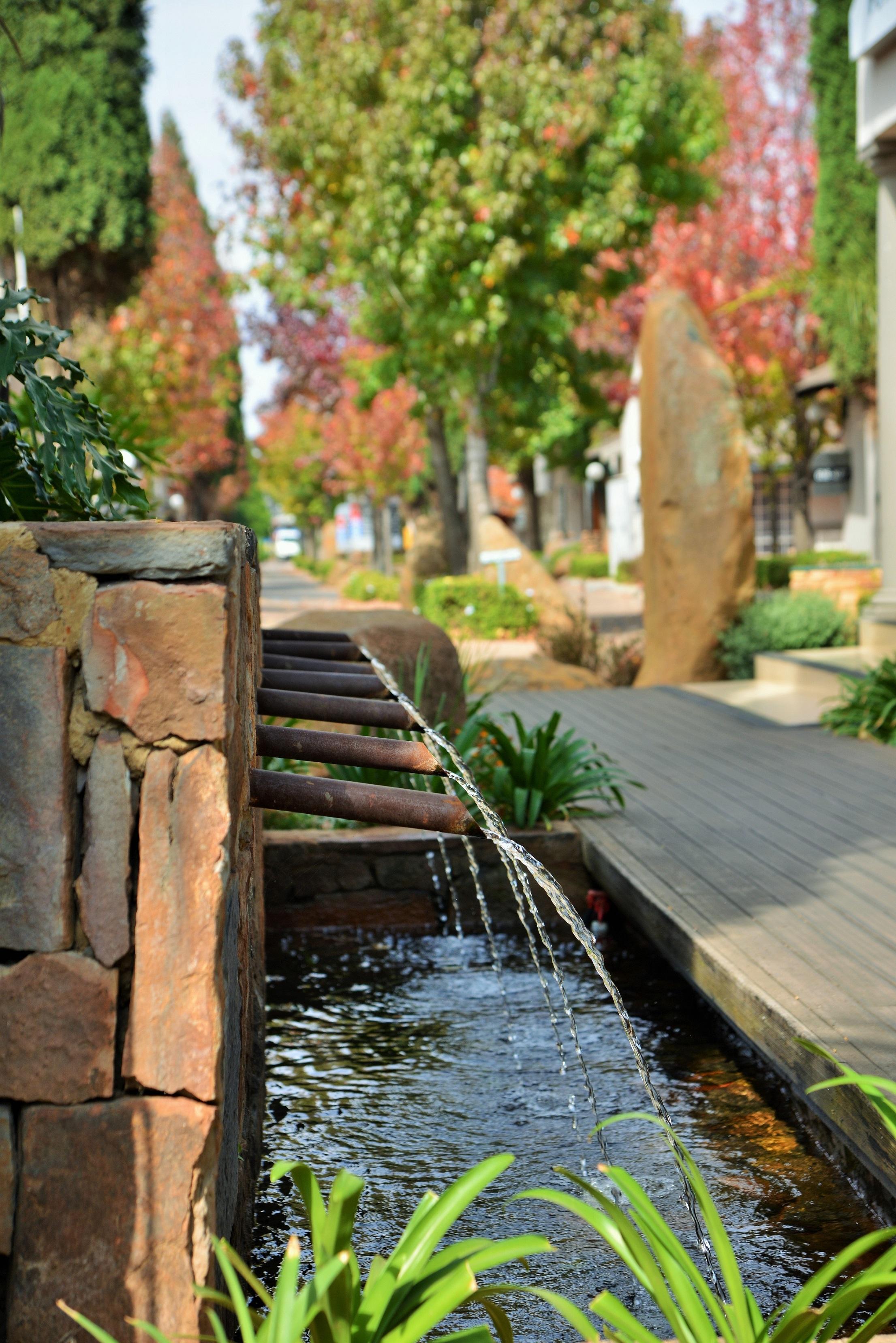 Silverbirch At Birchwood Boksburg Kültér fotó